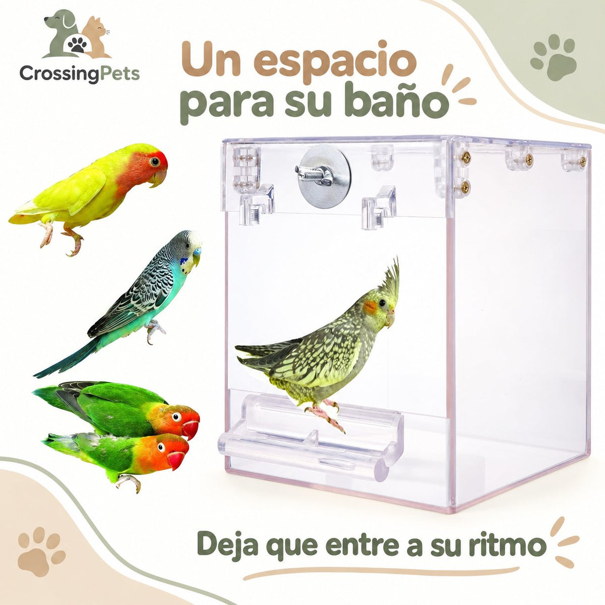 Bañera transparente para aves con fijación a jaula — CrossingPets · imagen 3