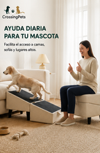 Dog ramp 2.0 with pouf