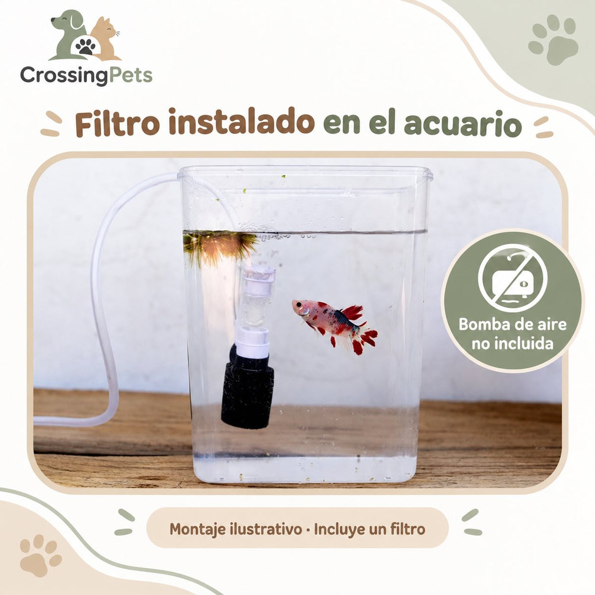 Minifiltro de esponja con ventosa para acuario · 10 cm — CrossingPets · imagen 3