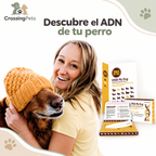 DNA My Dog · kit de identificación de razas — CrossingPets · imagen 1