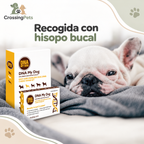 DNA My Dog · kit de identificación de razas — CrossingPets · imagen 10