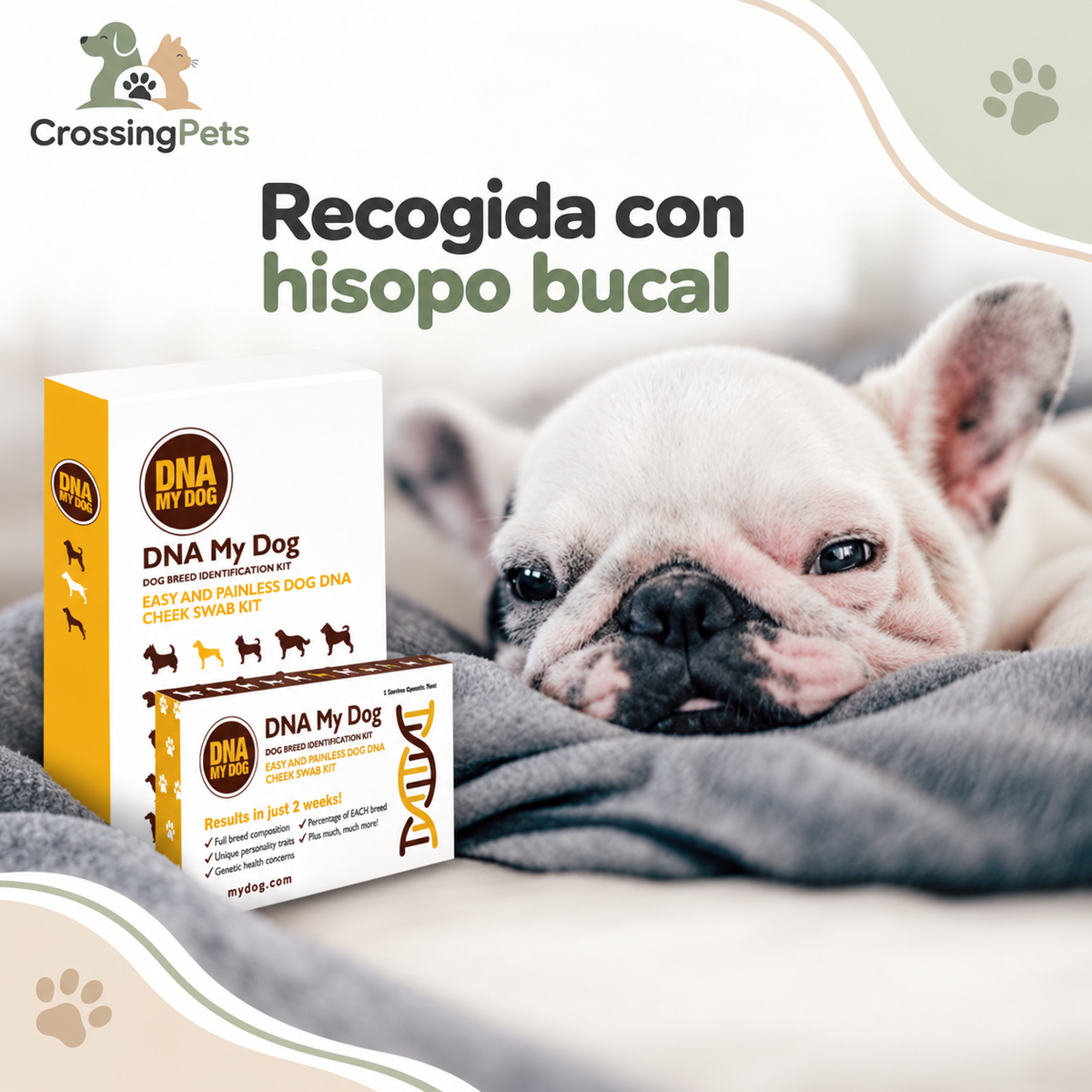 DNA My Dog · kit de identificación de razas — CrossingPets · imagen 10