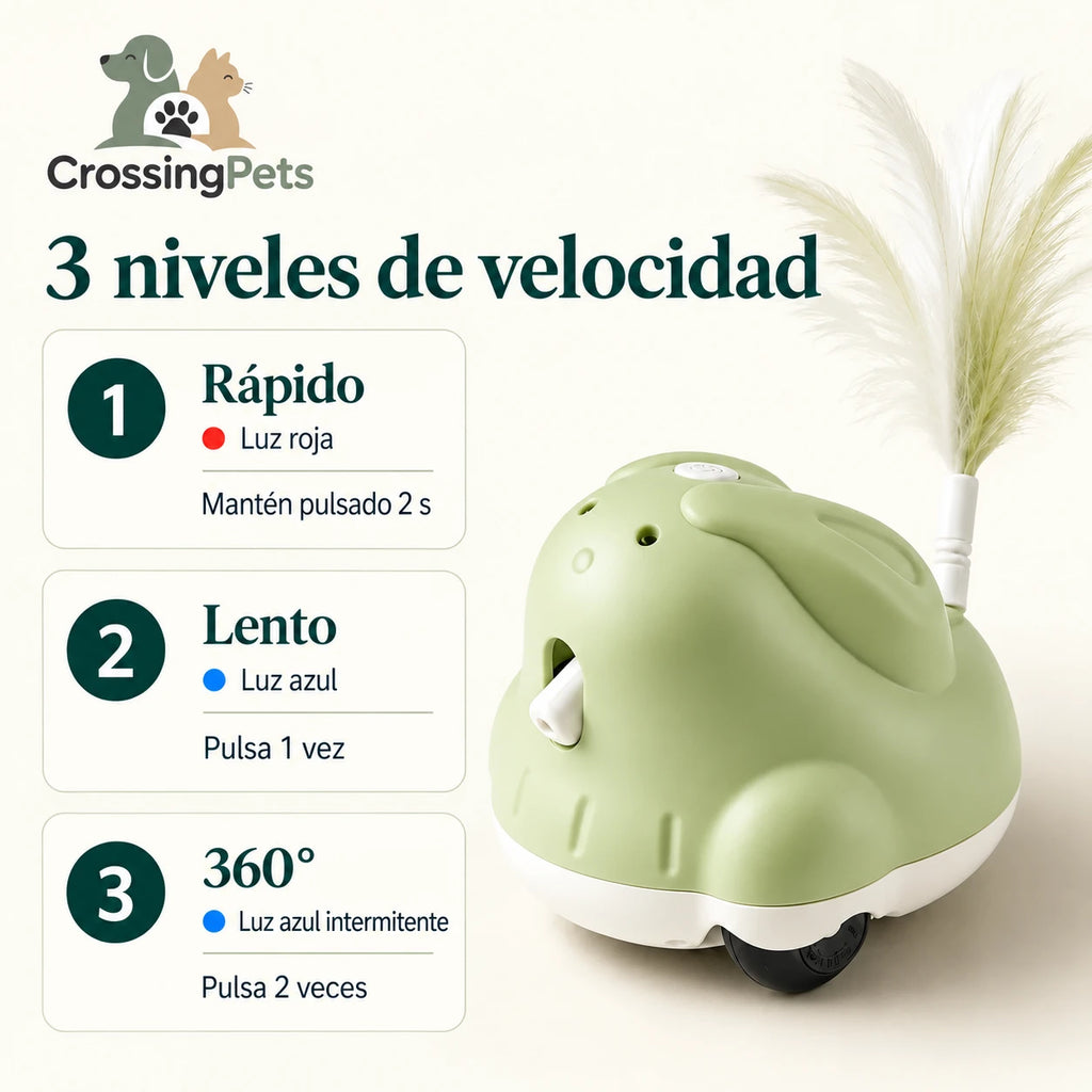 CatChase de CrossingPets: Tres niveles de velocidad