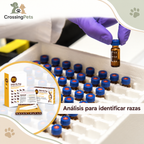 DNA My Dog · kit de identificación de razas — CrossingPets · imagen 9