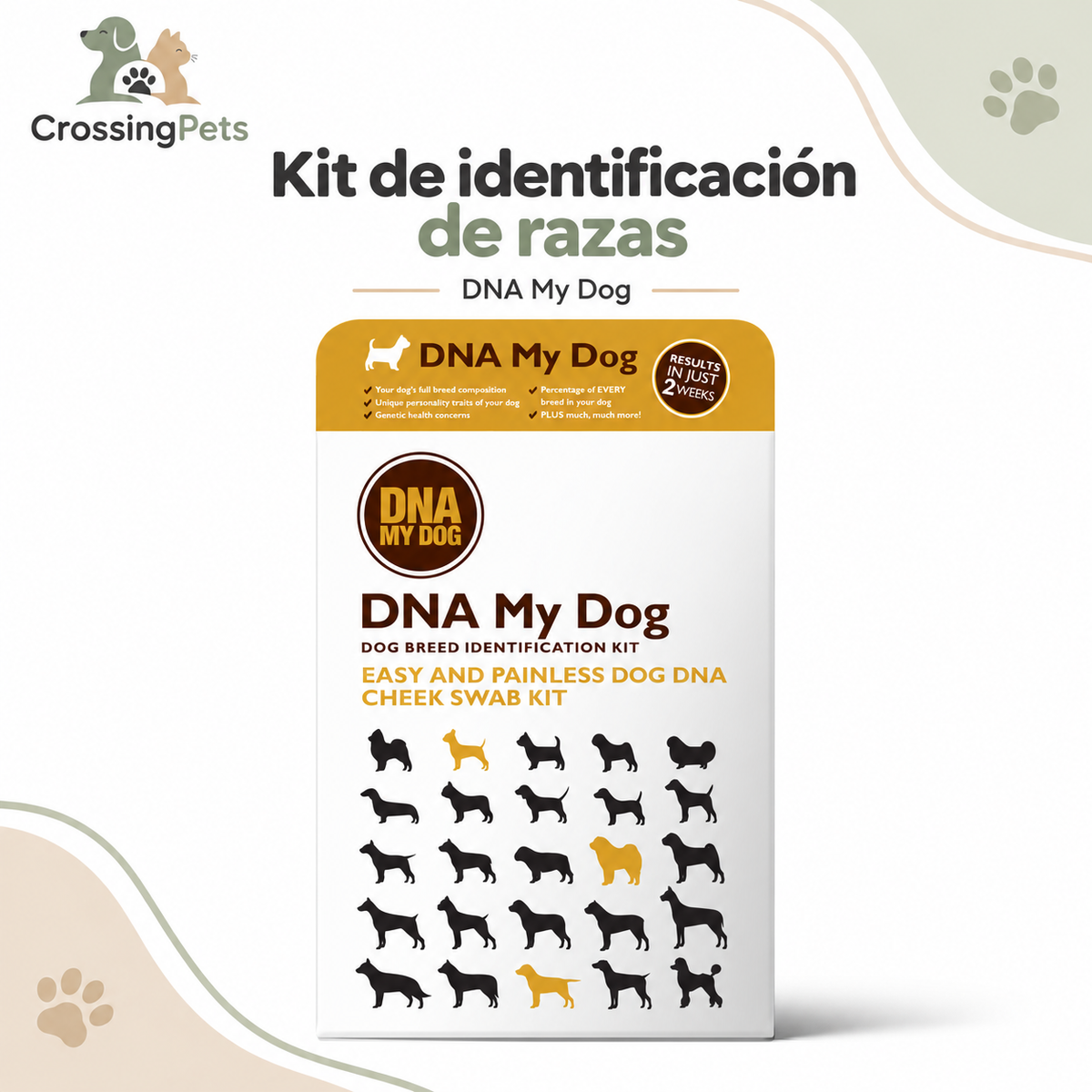 DNA My Dog · kit de identificación de razas — CrossingPets · imagen 2