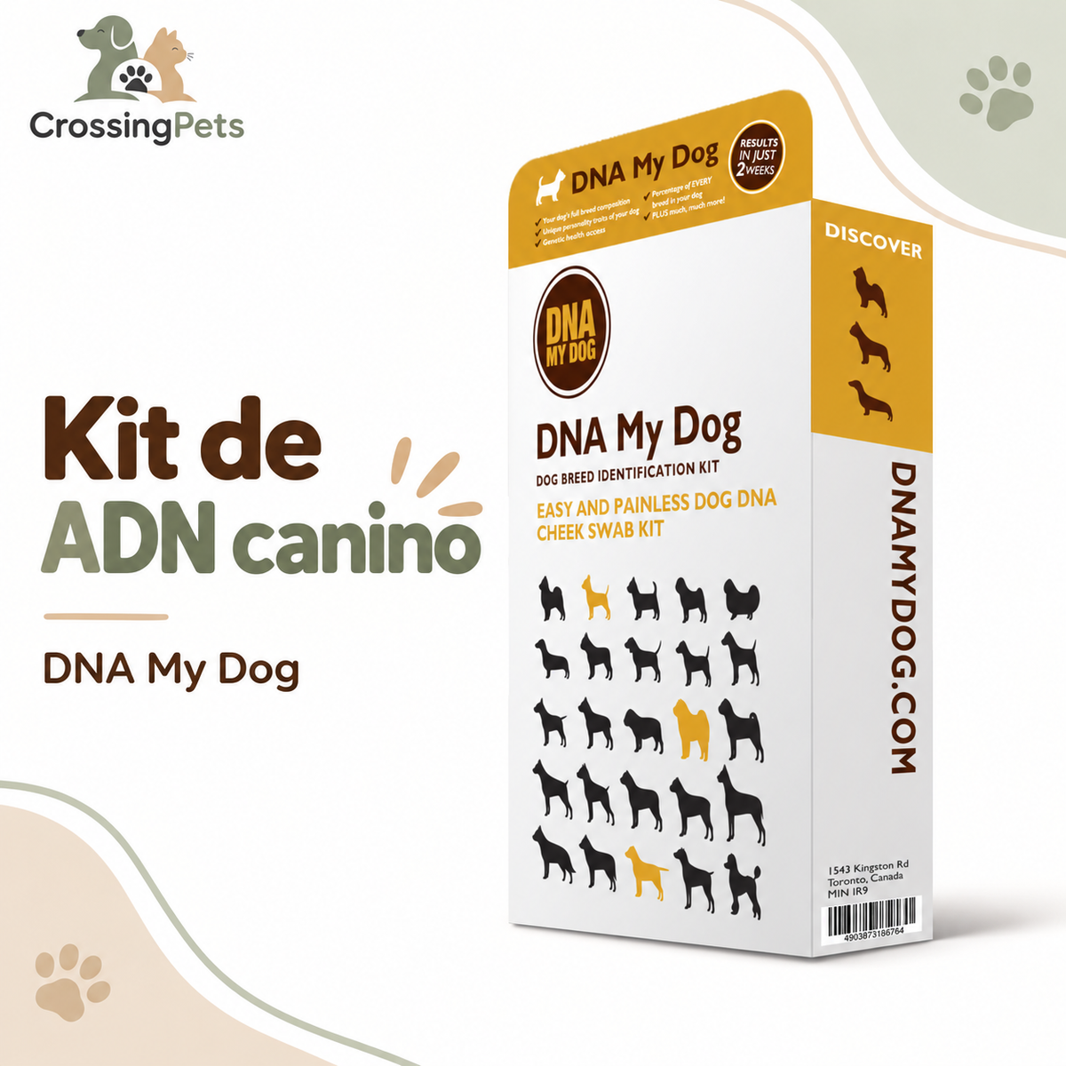 DNA My Dog · kit de identificación de razas — CrossingPets · imagen 6