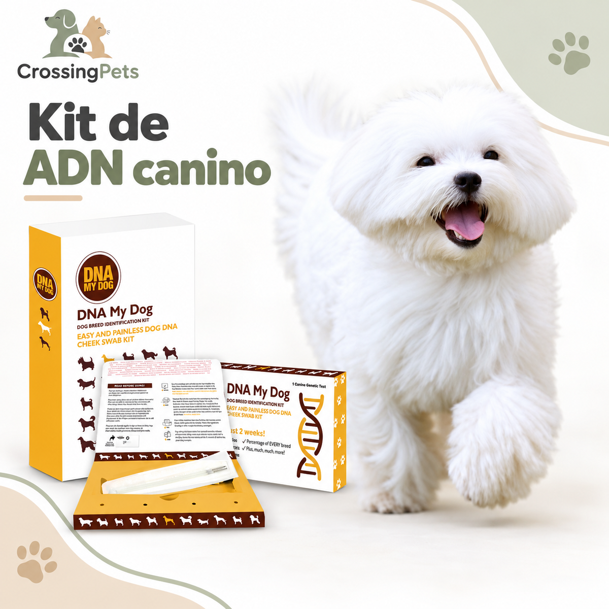 DNA My Dog · kit de identificación de razas — CrossingPets · imagen 8