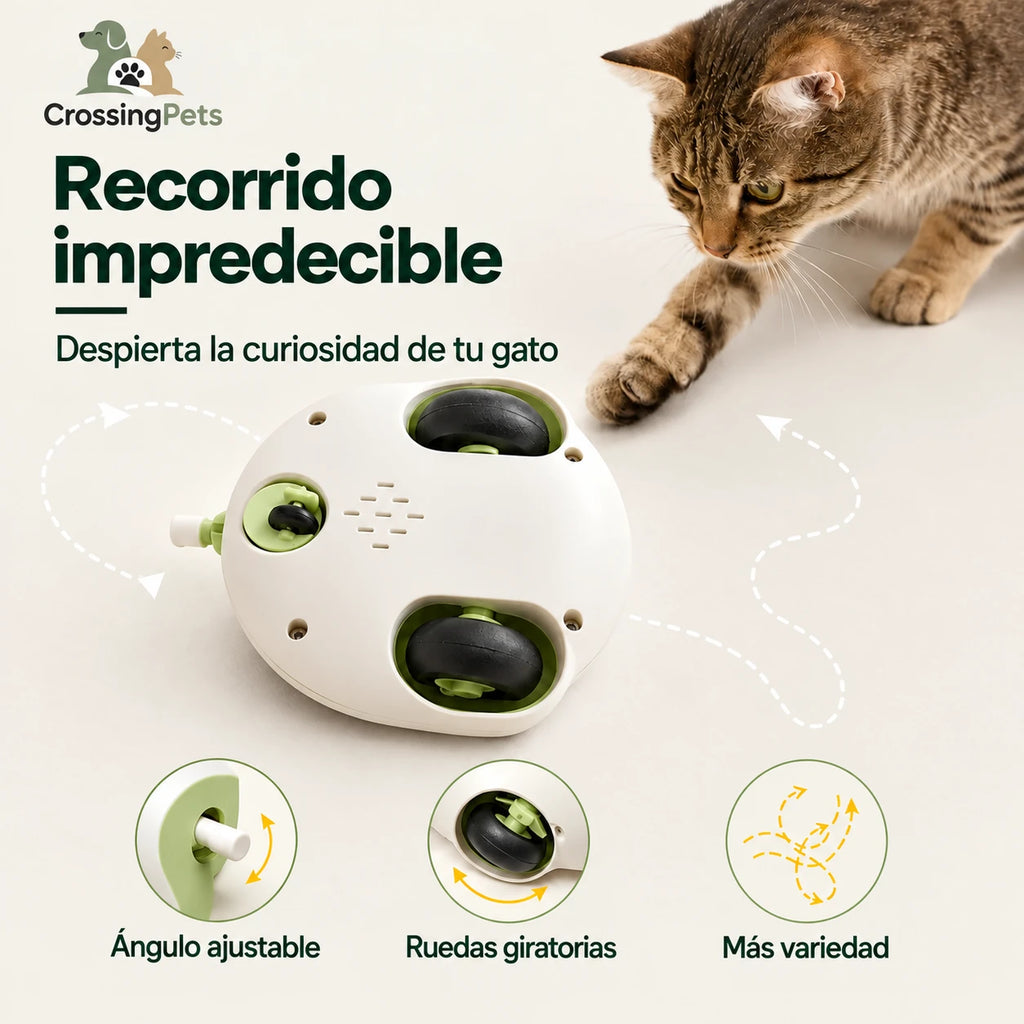 CatChase de CrossingPets: Movimiento y ángulo ajustable