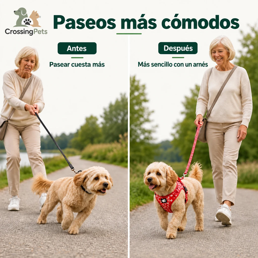 Arnés floral Reflexfit — CrossingPets — imagen 8
