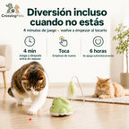 CatChase de CrossingPets: Funcionamiento y reposo