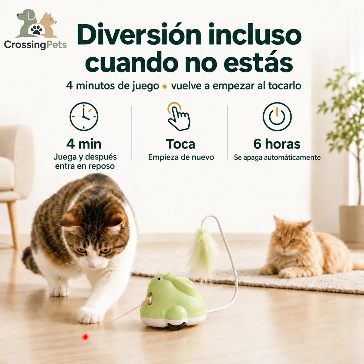 CatChase de CrossingPets: Funcionamiento y reposo