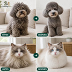 Cepillo de clic CrossingPets - imagen 3 en español