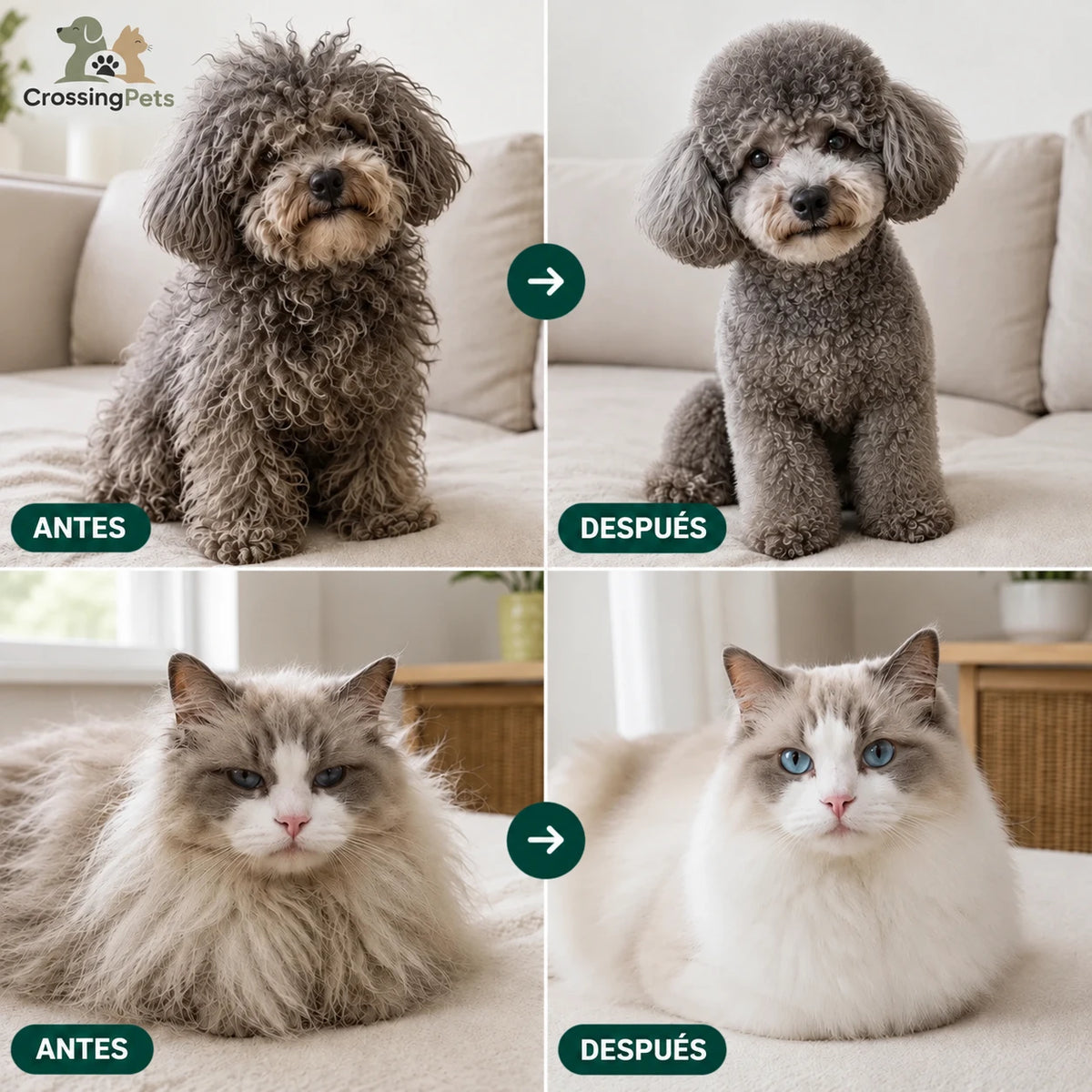 Cepillo de clic CrossingPets - imagen 3 en español