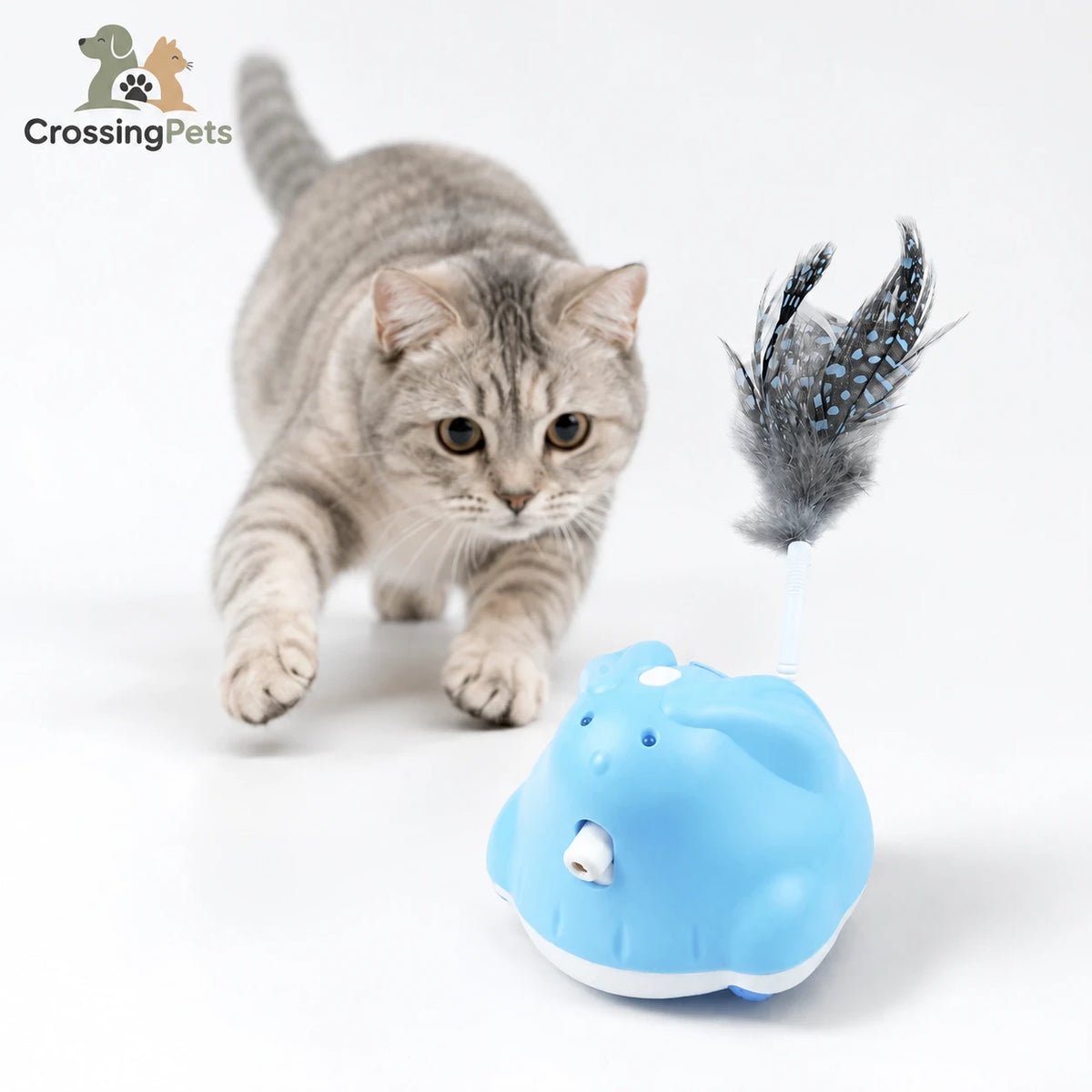 CatChase de CrossingPets: Juguete azul con pluma