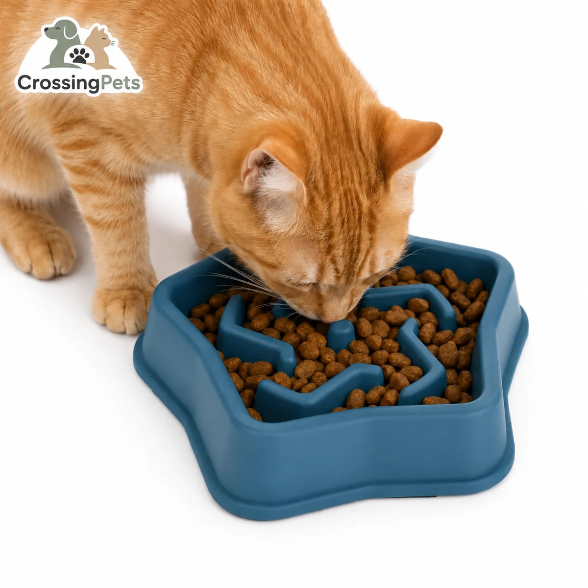 Slowfeeder Pro de CrossingPets: Variante azul con gato