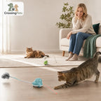 CatChase de CrossingPets: Juego interactivo para gatos