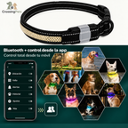 Collar LED Multicolor Premium para Perros