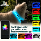 Collar LED Multicolor Premium para Perros