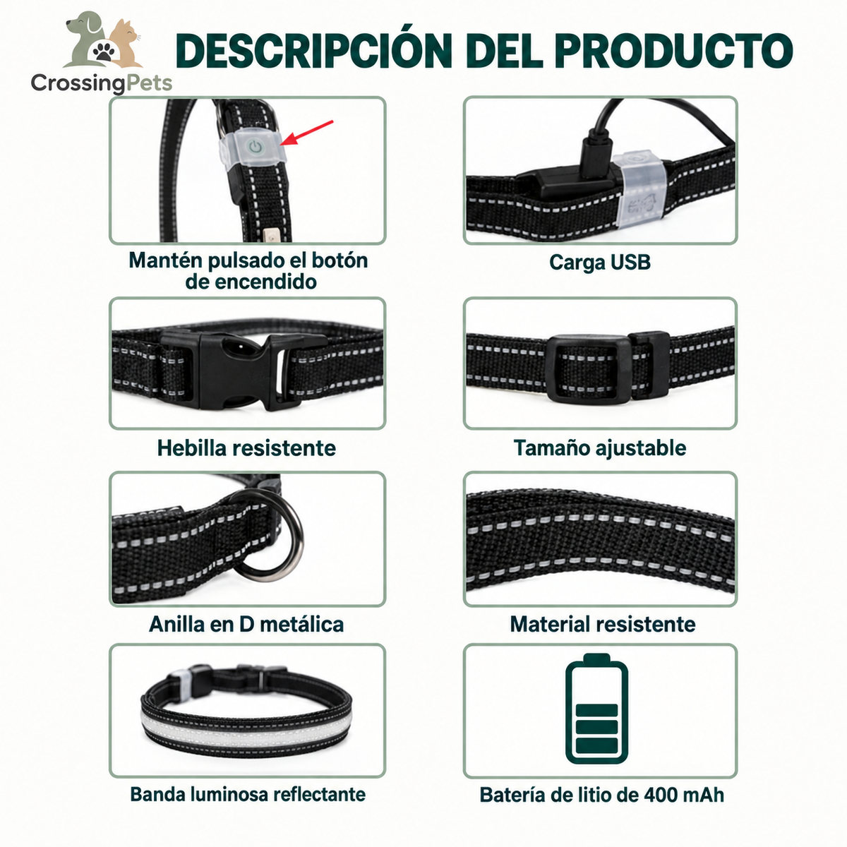 Collar LED Multicolor Premium para Perros