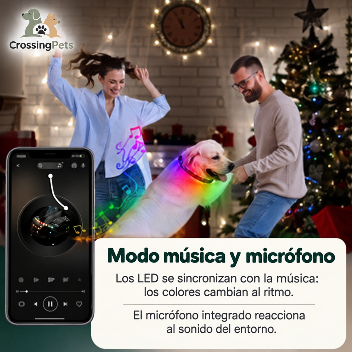 Collar LED Multicolor Premium para Perros