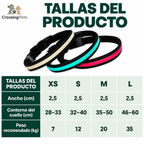 Collar LED Multicolor Premium para Perros