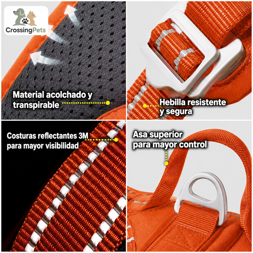 Material acolchado, hebilla, reflectantes y asa del arnés Truelove — CrossingPets