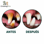 Comparación de antes y después de la limpieza dental — CrossingPets