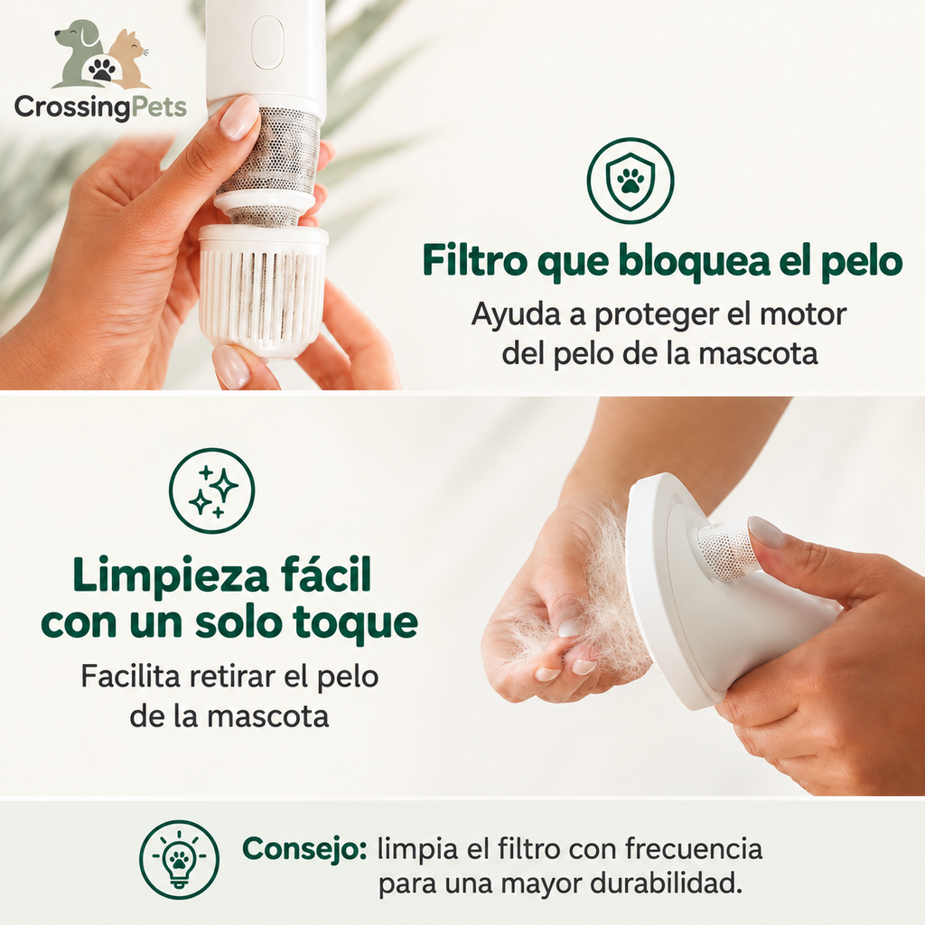 Limpieza del filtro del secador de pelaje — CrossingPets