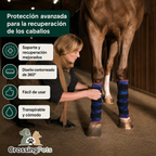 Venda refrescante para caballos
