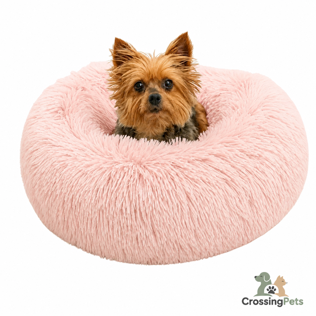 Comfydonut