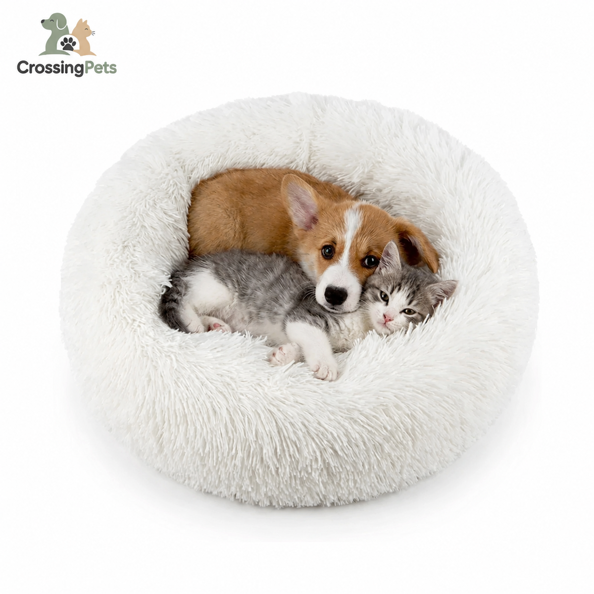 Comfydonut
