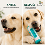 Dental chew toy for dogs