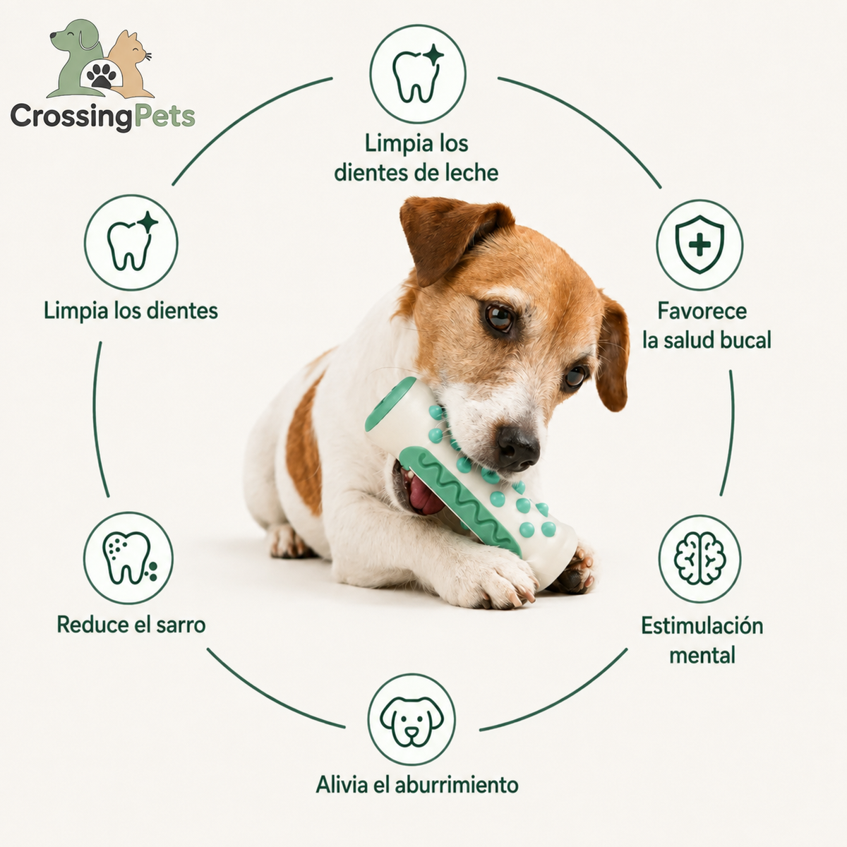 Juguete mordedor dental para perros