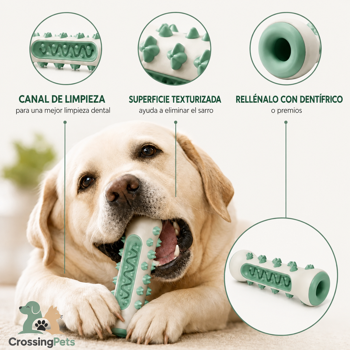 Juguete mordedor dental para perros