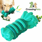 Dental chew toy for dogs