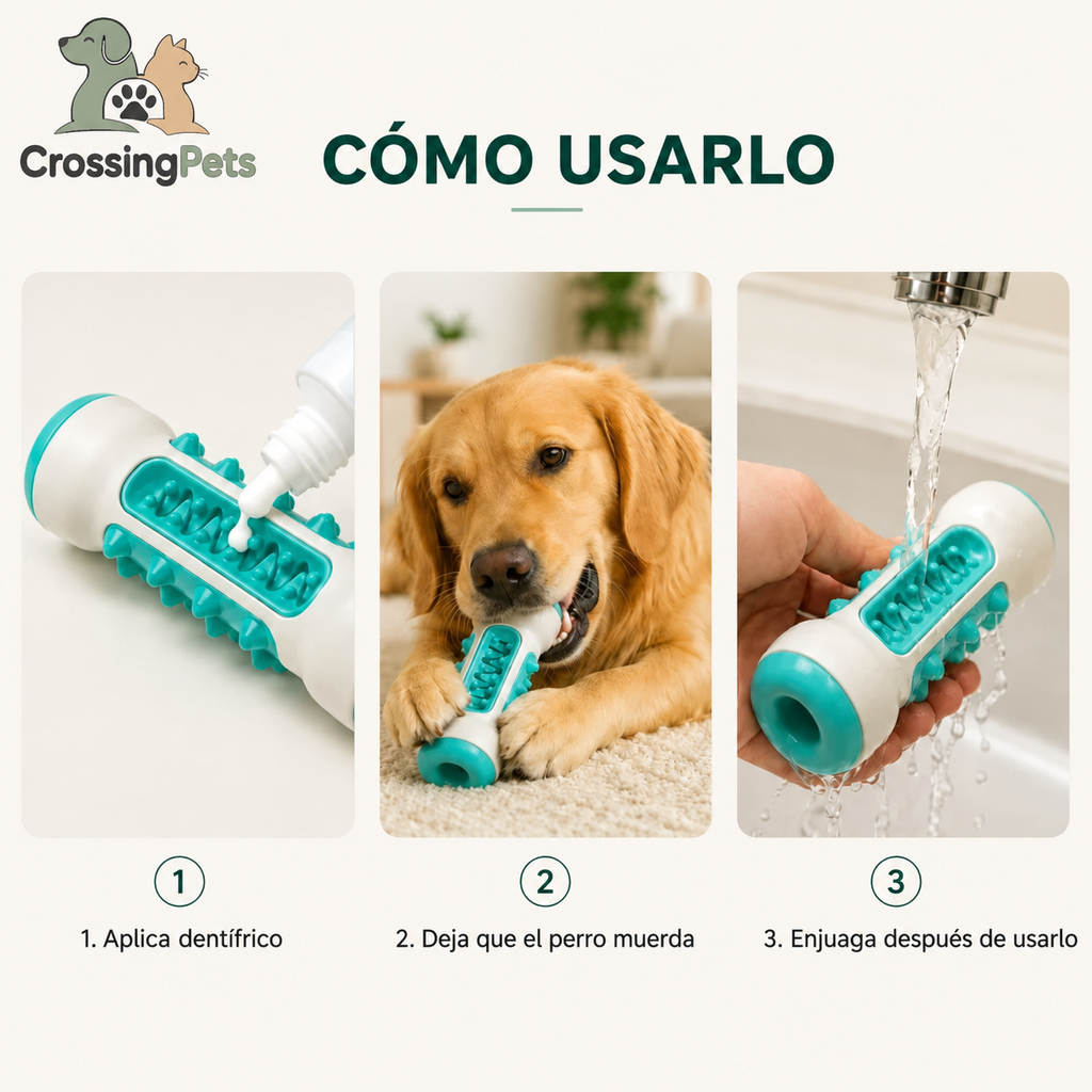 Dental chew toy for dogs