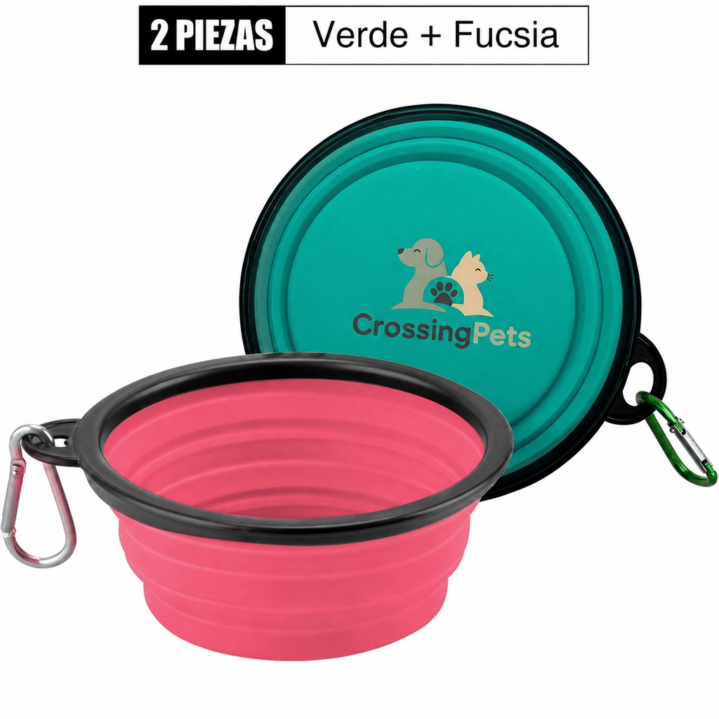 Cuenco de agua portátil plegable
