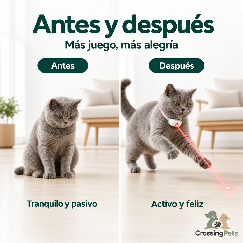 Collar láser Crossingpets