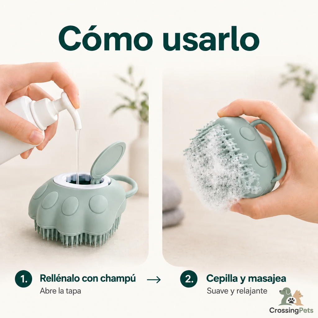 Cepillo para la ducha