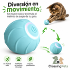 Pelota juguetona
