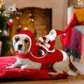 Santa costume for dogs and cats