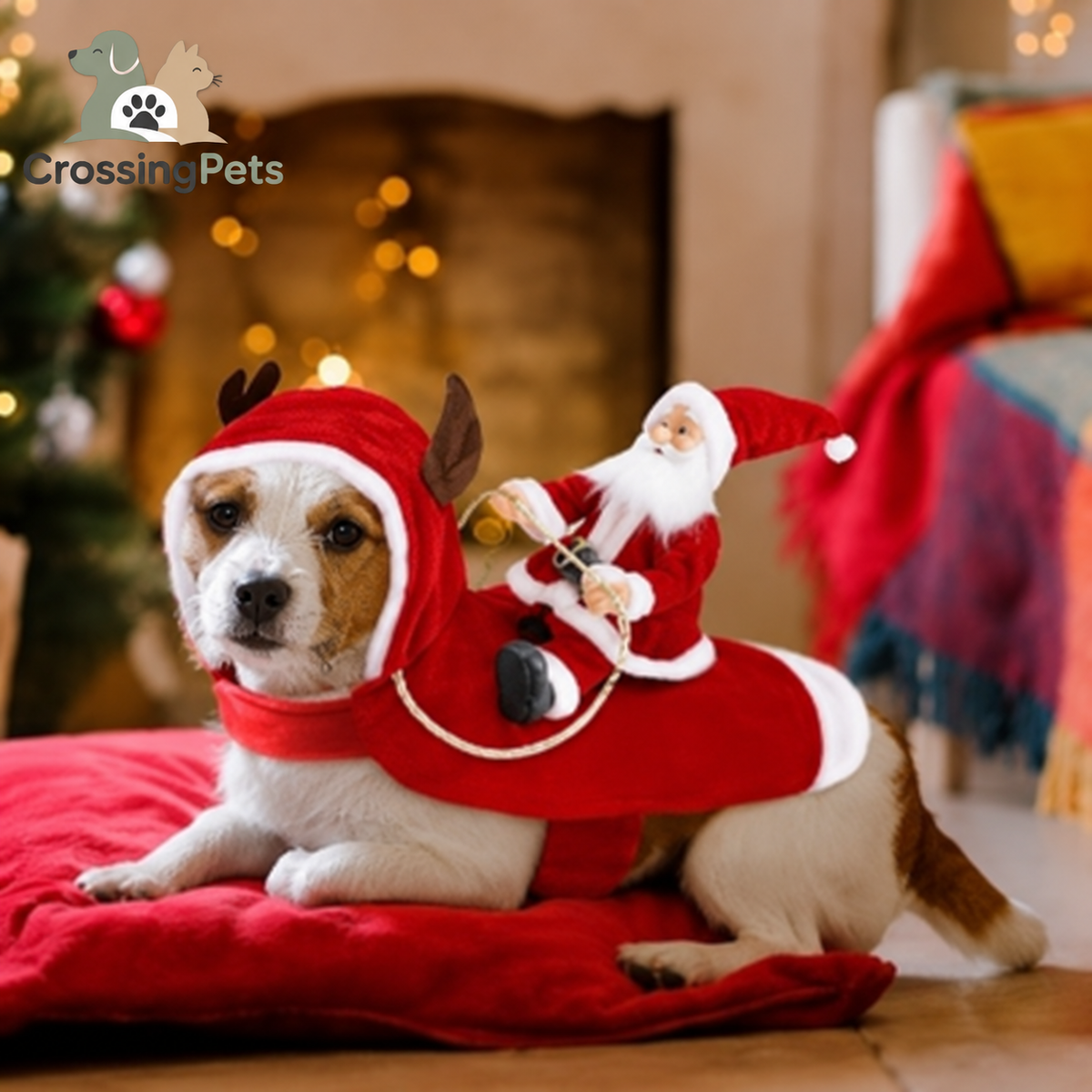 Disfraz de Papá Noel para perros y gatos