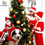Santa costume for dogs and cats