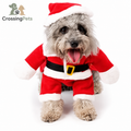 Christmas costume for dogs and cats