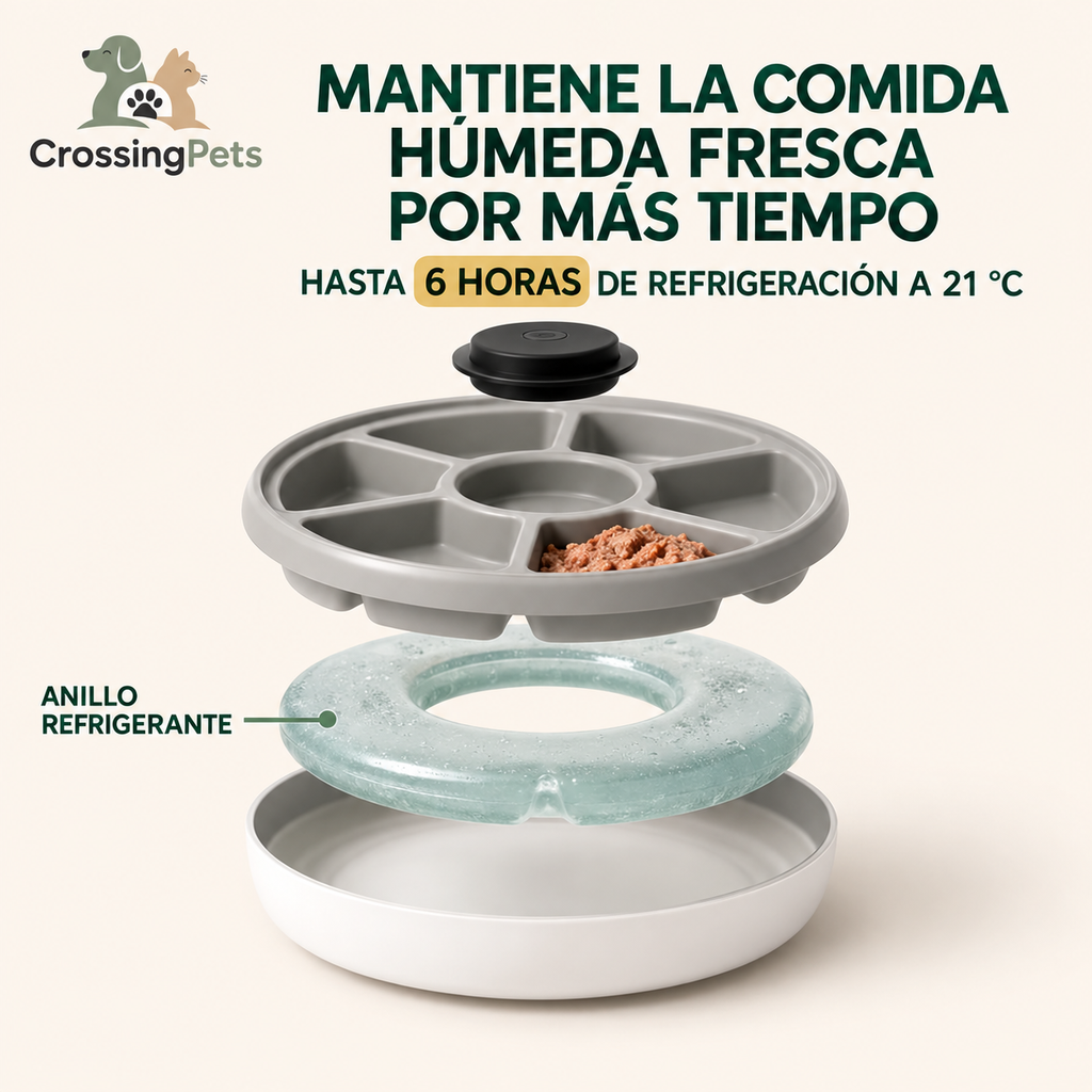 PawHut 6-meal pet feeder with ice pack