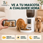 Comedero automático para mascotas de 4 L con cámara y aplicación PawHut