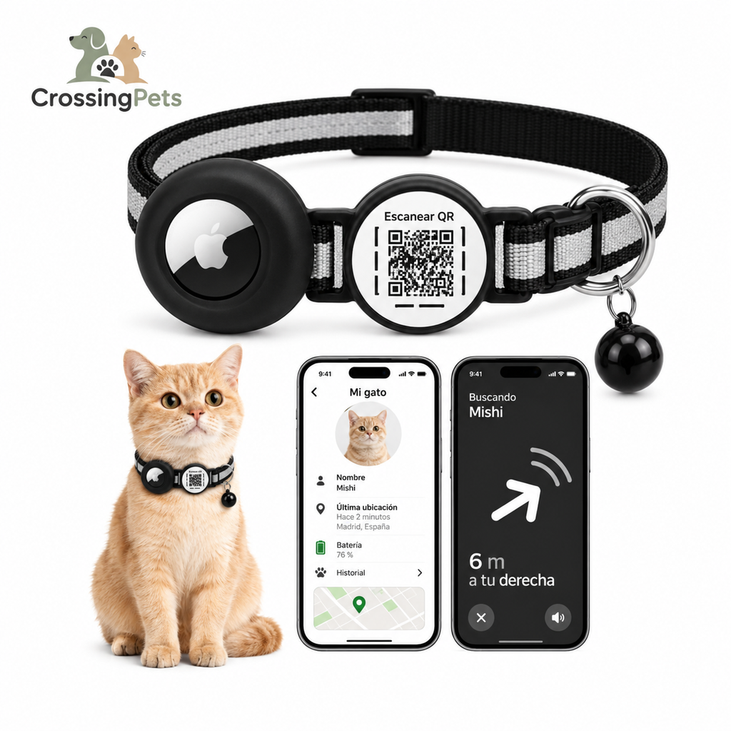 Cat collar with QR ID and AirTag holder