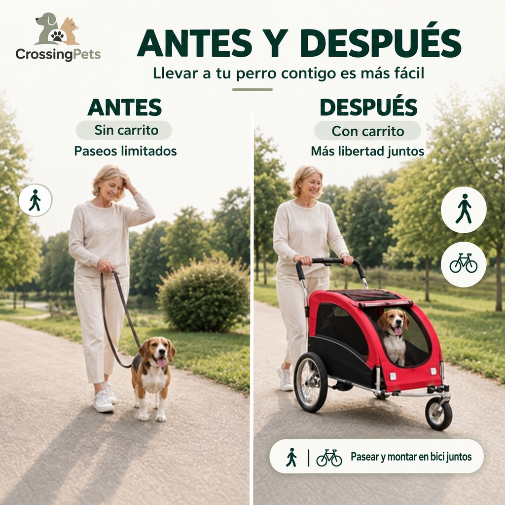 PawHut 2-in-1 bike trailer and stroller