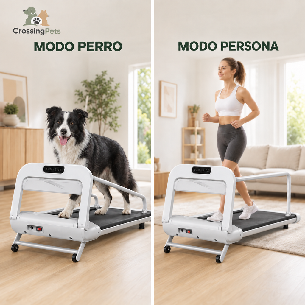Cinta de correr plegable Pro con mando a distancia
