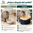 Fuente Fontaniano CrossingPets - imagen 6 en español
